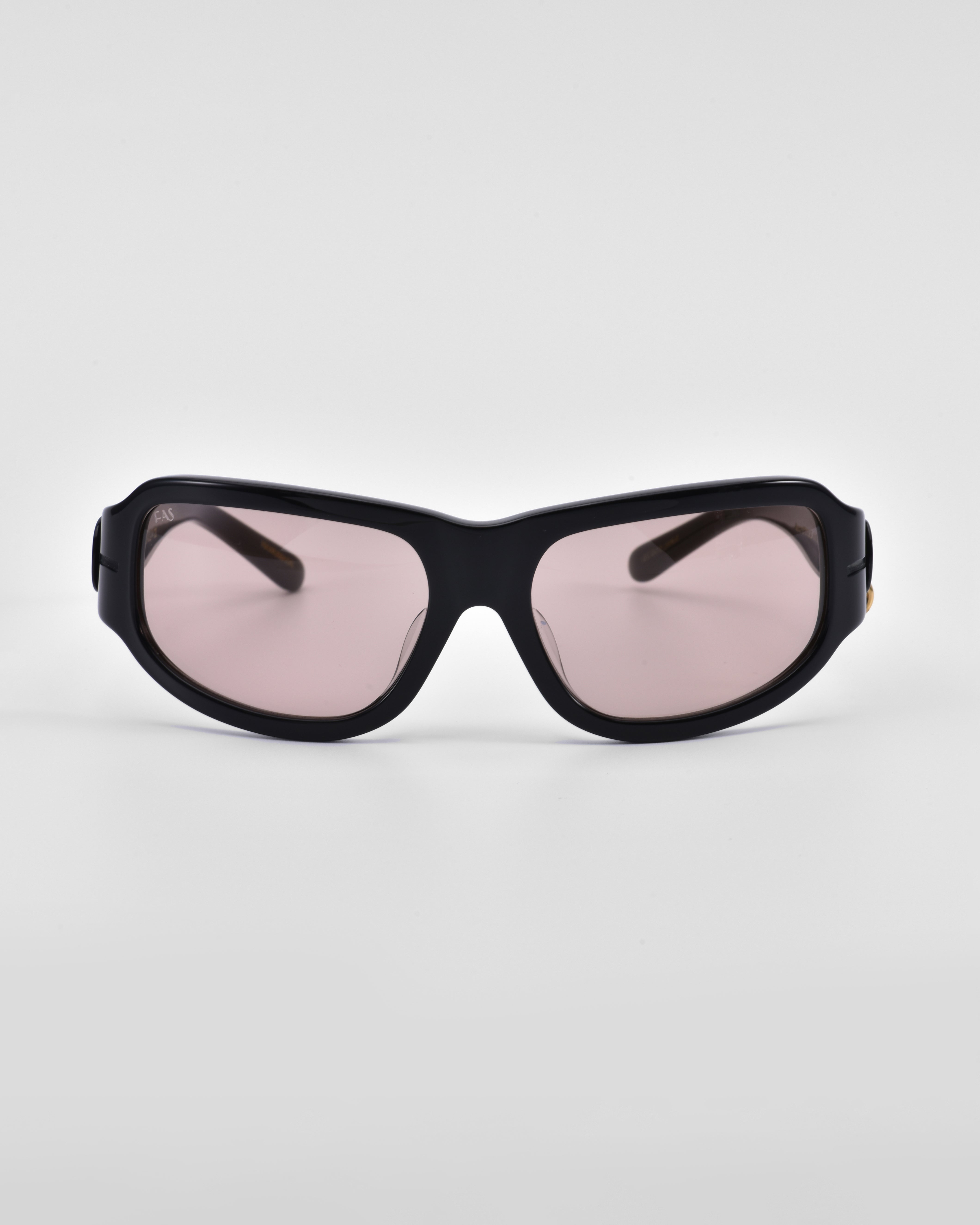 Raven Sunglasses - For Art's Sake®