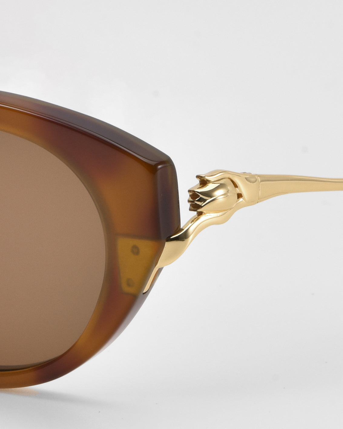 Close-up of Tulip I sunglasses by For Art's Sake®—bold acetate in brown with gold metal temples and a sculptural lion head at the hinge, shown against a white background to highlight their striking design.